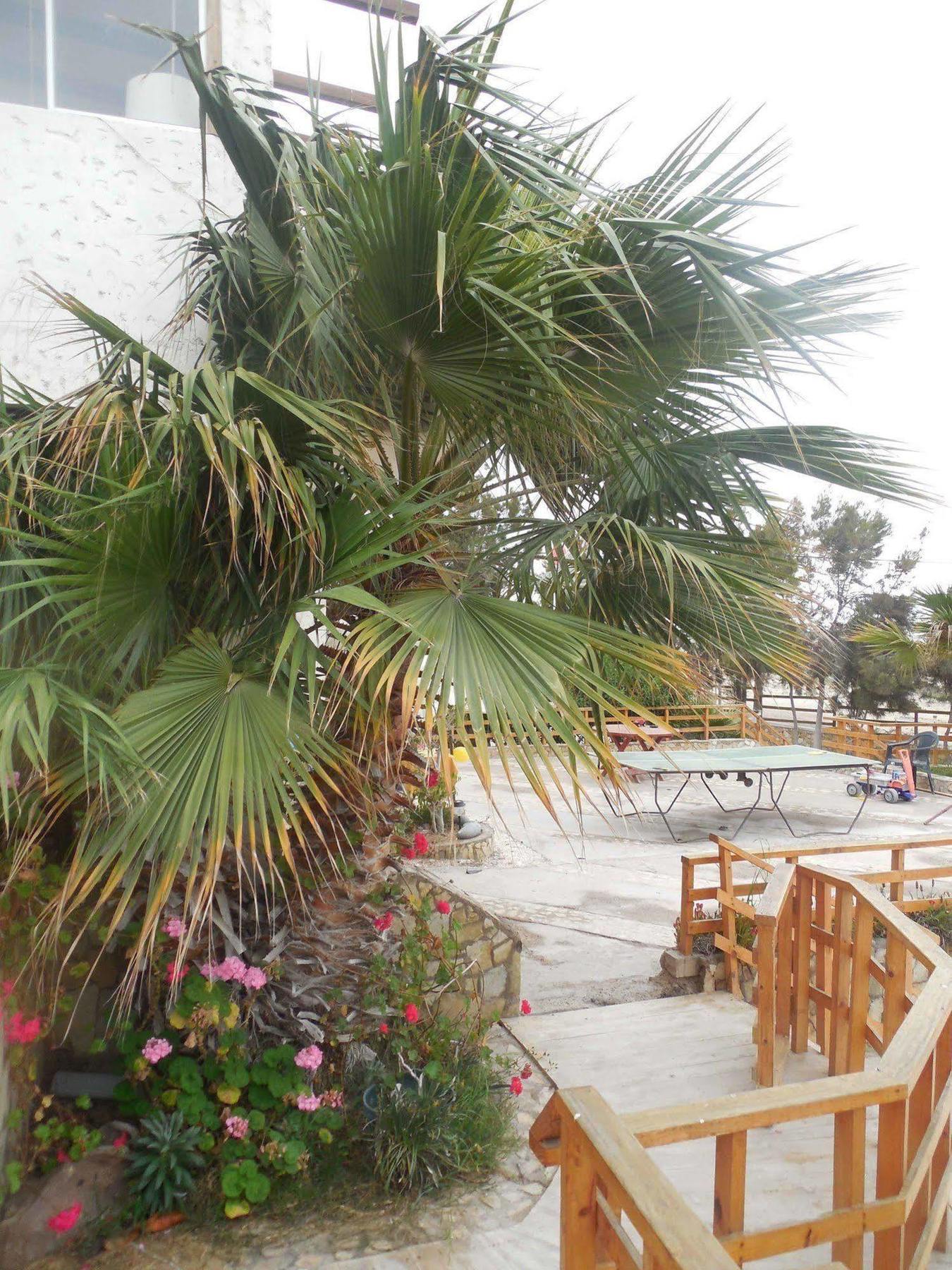Hotel & Cabanas El Mirador Caldera Esterno foto